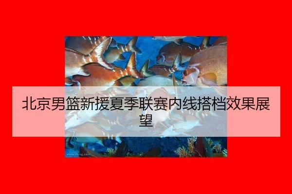 bei-jing-nan-lan-xin-yuan-xia-ji-lian-sai-nei-xian-da-dang-xiao-guo-zhan-wang-2-663.jpg